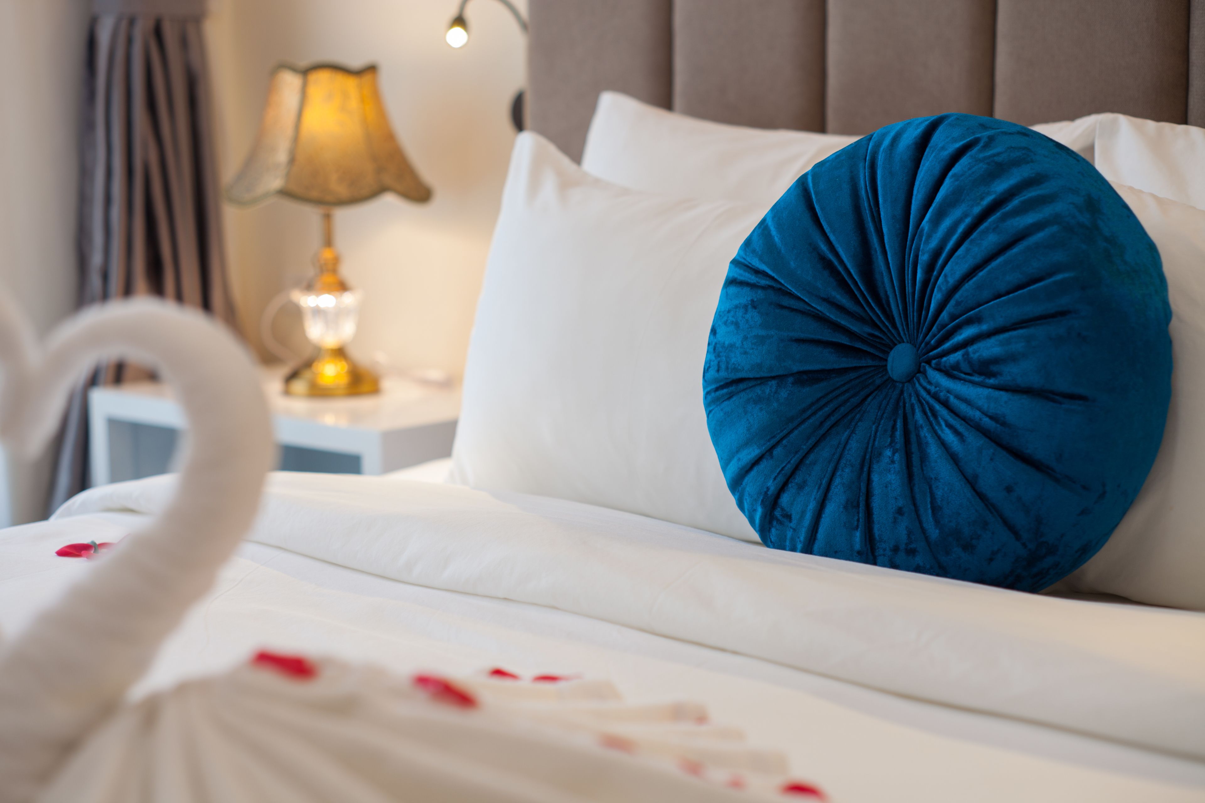 hanvet premium room | minibar, in-room safe, desk, laptop workspace