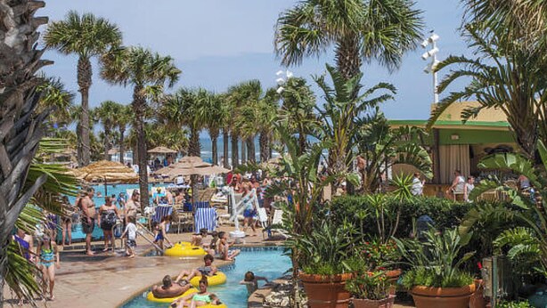 Un espace piscine doté de plusieurs couloirs pour les activités aquatiques, entouré de palmiers et ombragé par de grands parasols.