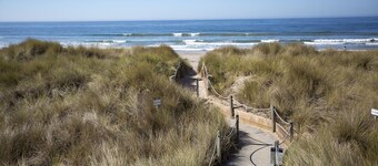 Beach Condo Shorebirds 196