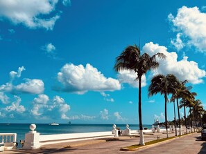 A coastal promenade with palm trees, a white railing, and a clear blue sky.