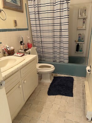 Combined shower/bathtub - Beautiful Ocean Front end Unit Enjoy a Glass a Wine Under the Stars (Ocean City)