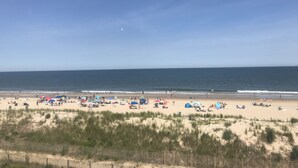 On the beach