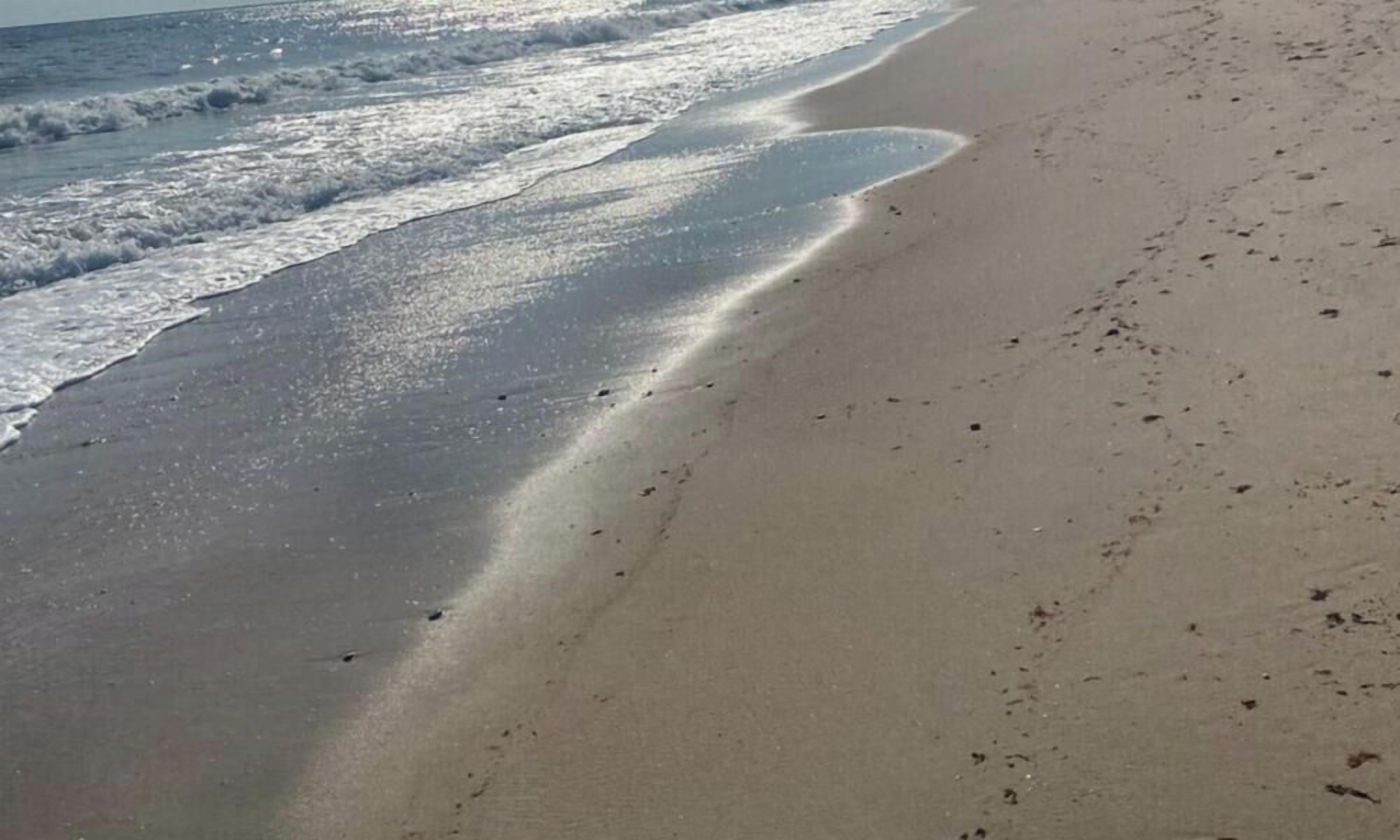 Ranta lähistöllä, aurinkotuoleja, rantapyyhkeitä