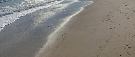 Plage à proximité, chaises longues, serviettes de plage