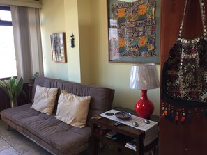 Smart TV, DVD player, video library