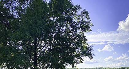 LUXUS-RANCH, 360 ANSICHTEN, NAHE GALENA TER., 300 ACRES, WEGE, PONDS, TIERE