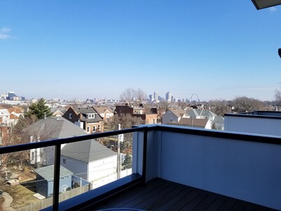 Stunning & Luxurious 4-story house. 5BDR. Rooftop Deck w/ views of the Arch! 