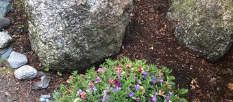 Ideal location near Blue Hill, Acadia/Bar Harbor-Ocean Access-Canoe-PaddleBoards