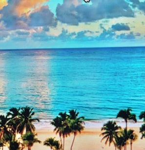 A beach with palm trees and a clear blue sky.