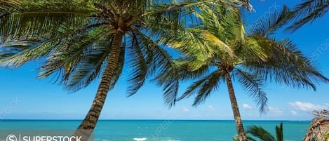 On the beach, sun loungers, beach towels