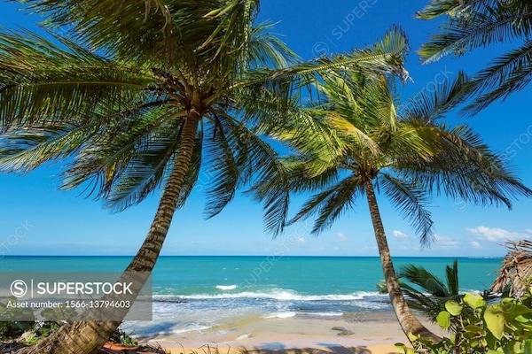 Local beach