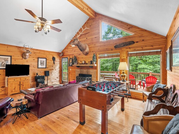 Flat-screen TV, fireplace, video games, DVD player