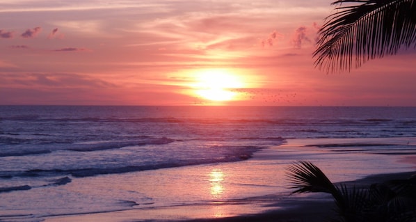 Plage, chaises longues