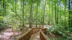 A wooden boardwalk through a dense forest with tall trees and undergrowth. - Bear Hug - Endorsed by Theodore Bear, a.k.a. "Teddy" (Sautee Nacoochee)