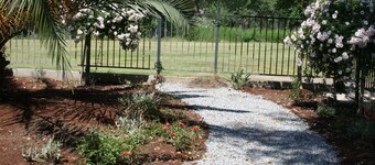 Lux 2/2 w/firepit next to Kaweah River & 10 min from Sequoia National Park