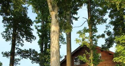 Includes wkday pontoon rental,1mi from national park walk/bike trails. Lakefront