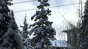 Ein verschneiter Außenbereich mit Feuerschale, schneebedeckten Bäumen und einer Steinstruktur.