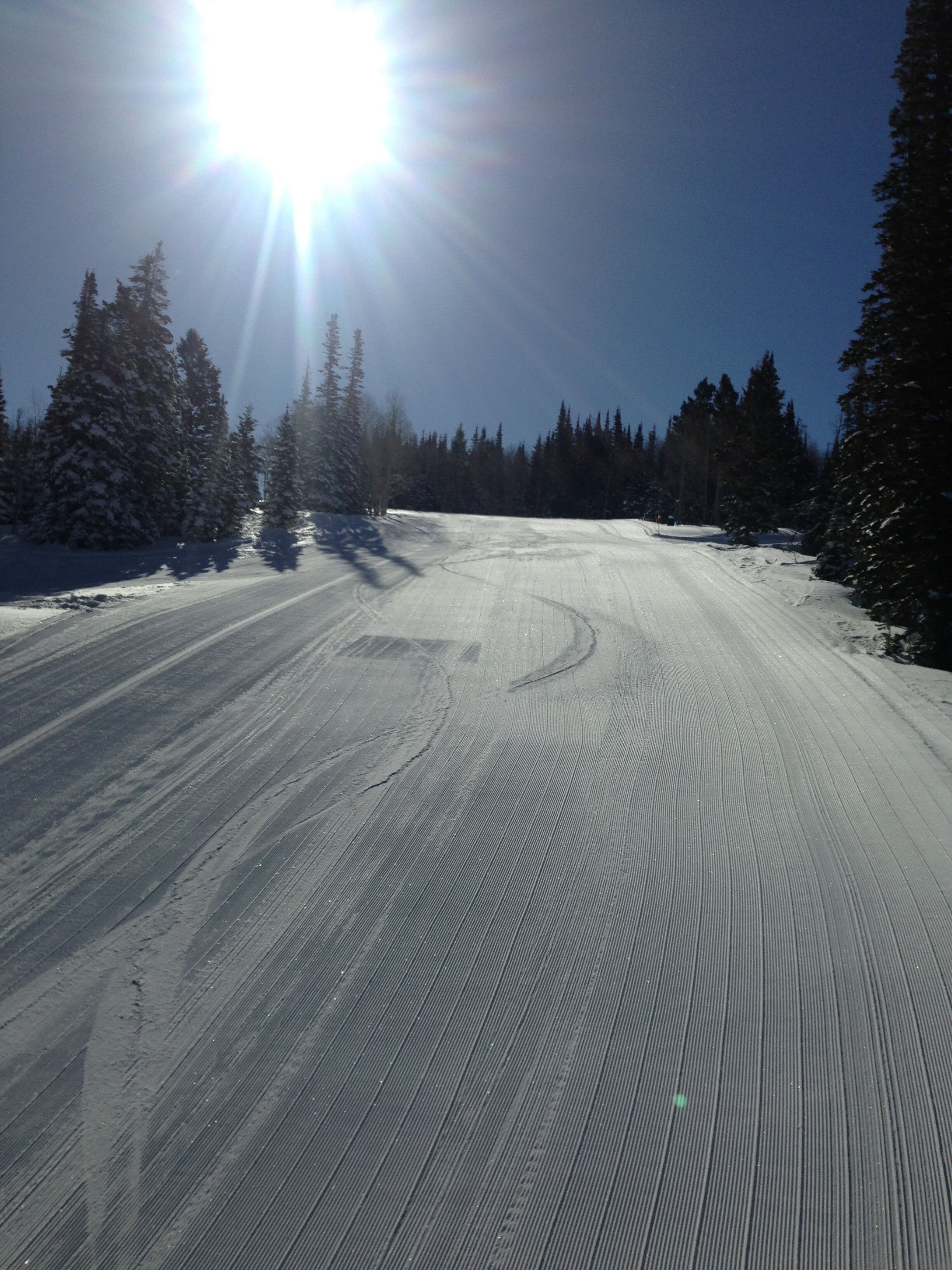 Eine verschneite Straße mit Radspuren, umgeben von schneegebundenen Bäumen und einem klaren Himmel.