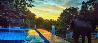 Eagle Regency Boutique Hotel