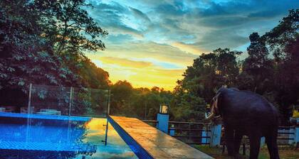 Eagle Regency Boutique Hotel