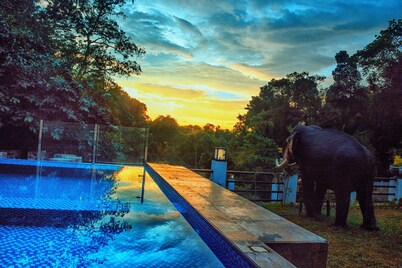 Eagle Regency Boutique Hotel