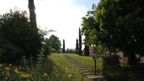 Un sentiero in salita che attraversa un giardino con fiori gialli e arbusti verdi.