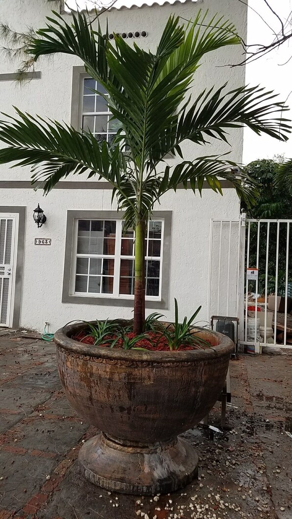 Áreas de la propiedad