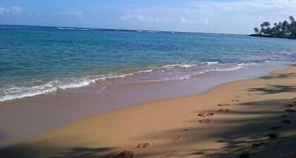 Villa Tranquila klo Dorado Reef