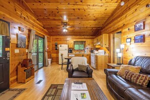 Fernseher, Kamin, DVD-Player