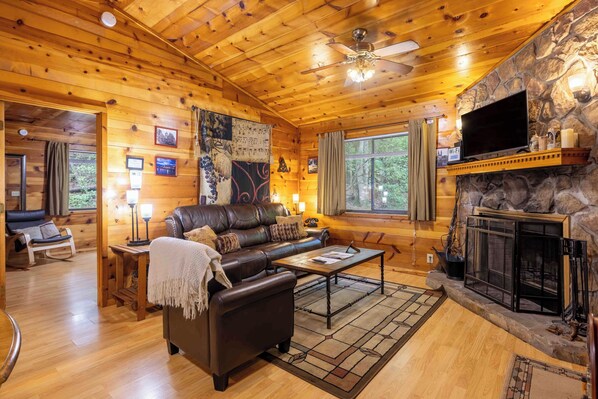 Fernseher, Kamin, DVD-Player