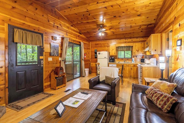 TV, fireplace, DVD player