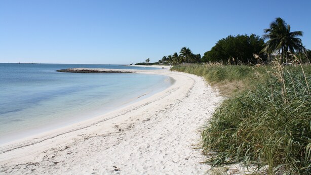 Ein Sandstrand mit klarem Wasser, Palmen und einem fernen Horizont.
