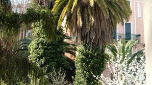 A building with a balcony and a palm tree in front. - Charming, quiet, sunny two-bedroom in Trastevere with great view (Roma)