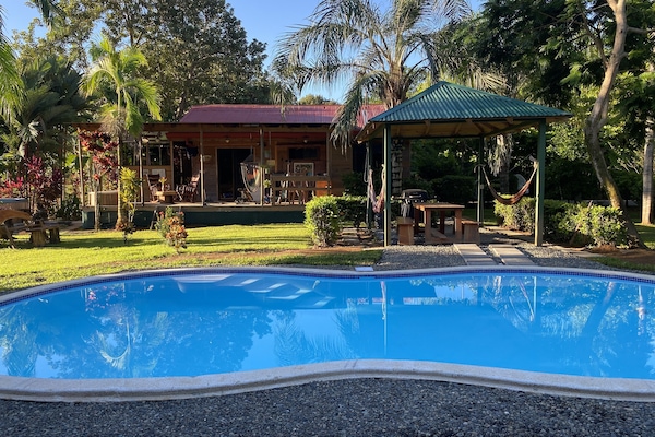Pool, Garden, Rancho, House