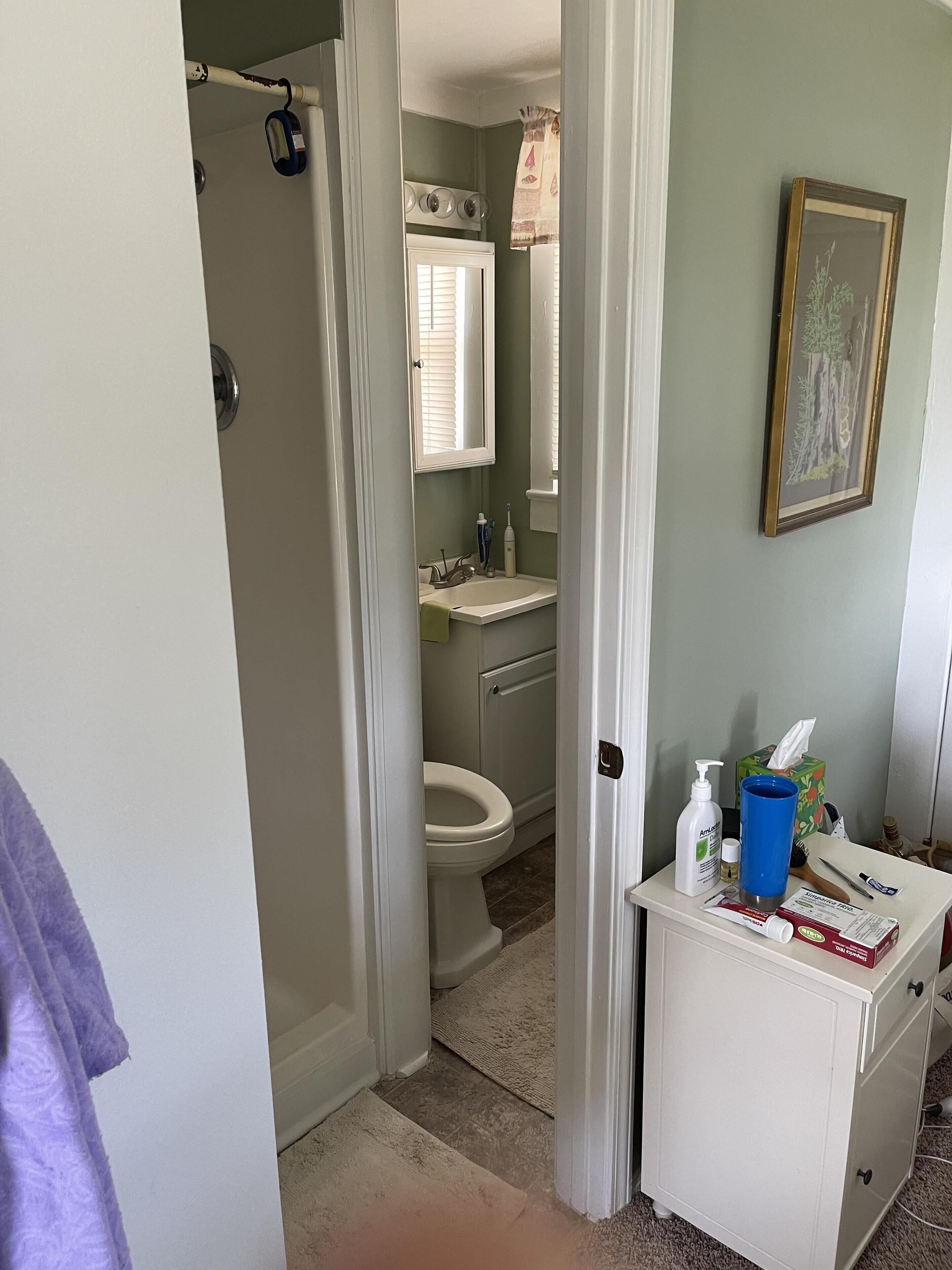 Ein Badezimmer mit Toilette, Waschbecken und Spiegel. Handtuchhalter, ein gerahmtes Bild an der Wand und ein Schrank mit Toilettenartikeln sind ebenfalls vorhanden.