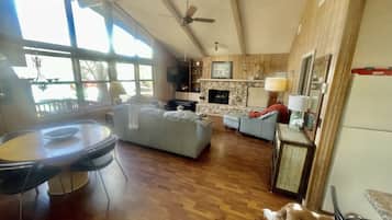 Televisor intel·ligent, llar de foc, reproductor de DVD i llibres