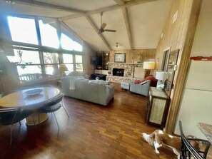 Smart TV, fireplace, DVD player, books