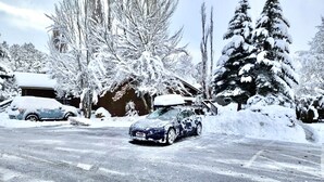 Zona residencial con árboles cubiertos de nieve y un automóvil estacionado en la calle.