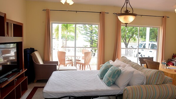 Smart TV, DVD player, video library, stereo