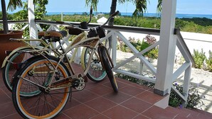 Una bicicletta parcheggiata su un patio piastrellato con vista sull'oceano e palme.