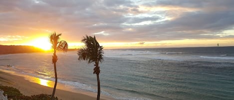 Una playa cerca
