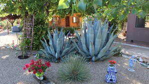 A garden with agave plants, a wooden trellis, and a blue and white vase with flowers. - HiddenOasisBandB   " A Bed & Breakfast Community" (Dragoon)