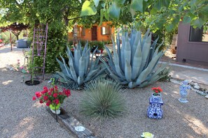 A garden with agave plants, a wooden trellis, and a blue and white ceramic bird bath. - HiddenOasisBandB   " A Bed & Breakfast Community" (Dragoon)