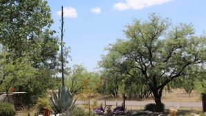 A pool surrounded by rocks and trees, with purple chairs and a deer statue. - HiddenOasisBandB   " A Bed & Breakfast Community" (Dragoon)