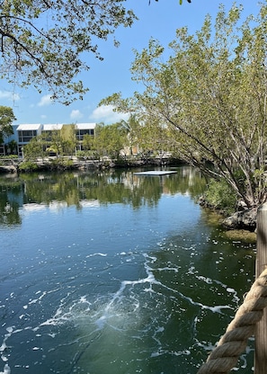 Immagine non classificata, 5 di 45, pulsante