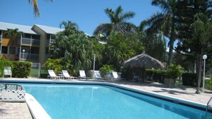 Relax by the pool surrounded by lush tropical vegetation and lounge chairs.