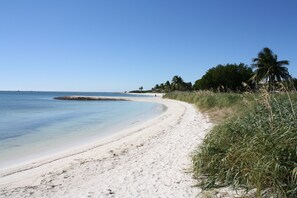 Beach towels - Fully furnished  studio, 50 yards from ocean, shared pool, fishing-jetty (Marathon)