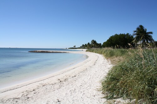 Fully furnished  studio, 50 yards from ocean, shared pool, fishing-jetty