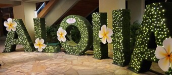 Casa Aloha Nosara Playa Guiones a 4-min walk to surf, yoga & all the fun stuff