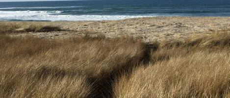 Plage, serviettes de plage